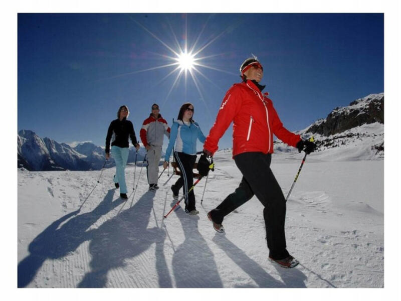 KIJKI DO NORDIC WALKING DO CHODZENIA TELESKOPOWE