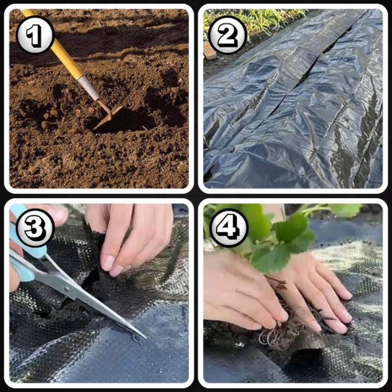 AGROWŁÓKNINA CZARNA GRUBA 70g NA CHWASTY 1,6x50m UV3% AGROTKANINA 50x KOTWY