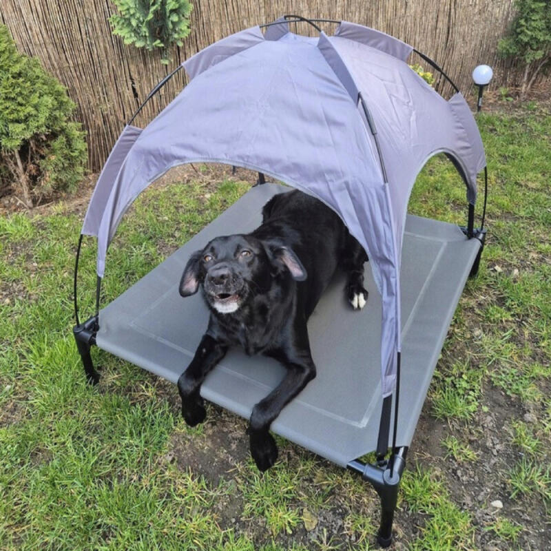 Legowisko Dla Psa Z Daszkiem Podwyższone Zadaszone Turystyczne Duże XXL