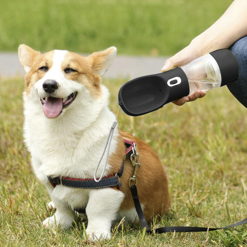 PRZENOŚNE POIDŁO DLA PSA KOTA TURYSTYCZNY BIDON BUTELKA Z MISKĄ NA WODĘ