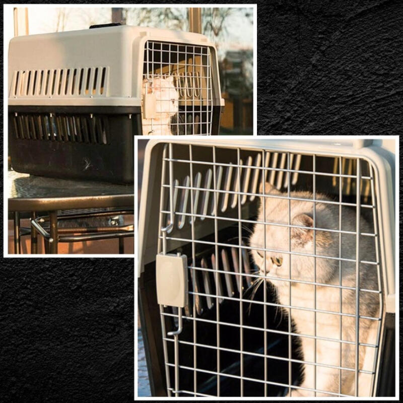 Transporter Dla Kota Psa Królika Zwierząt Klatka Kojec Do Samochodu Duża