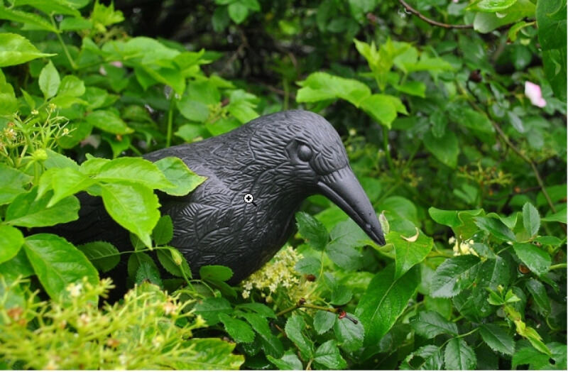 Odstraszacz Ptaków Kruk Duży Gołębi Szpaków Na Balkon Ogrodowy Ptaki