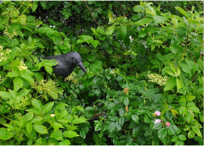 Odstraszacz Ptaków Kruk Duży Gołębi Szpaków Na Balkon Ogrodowy Ptaki
