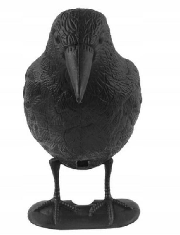 Odstraszacz Ptaków Kruk Duży Gołębi Szpaków Na Balkon Ogrodowy Ptaki