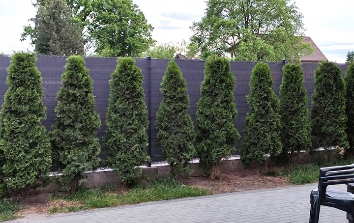 SIATKA CIENIUJĄCA NA OGRODZENIE PŁOT BALKON MASKUJĄCA 1,5x25m 90% UV MOCNA